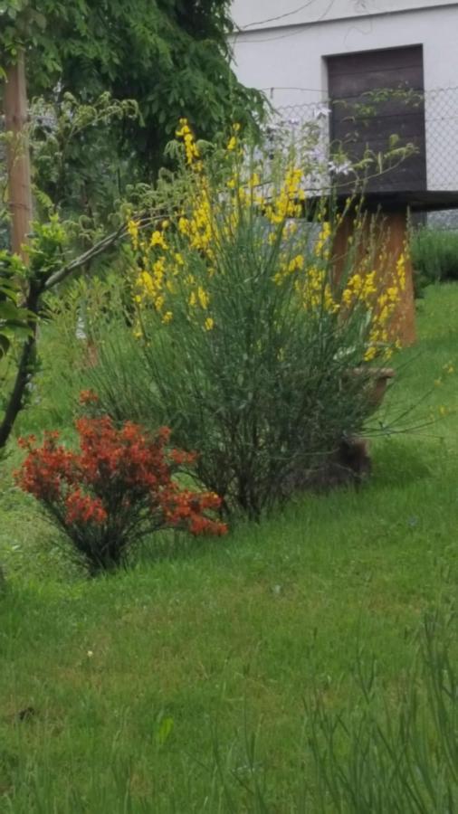 B & B Sentiero Valtellina Castello dell'Acqua Dış mekan fotoğraf