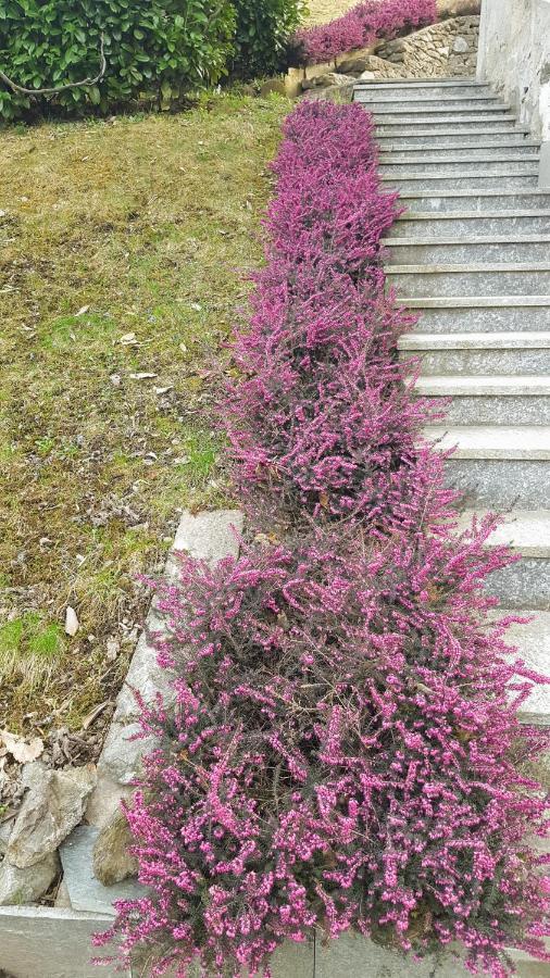 B & B Sentiero Valtellina Castello dell'Acqua Dış mekan fotoğraf