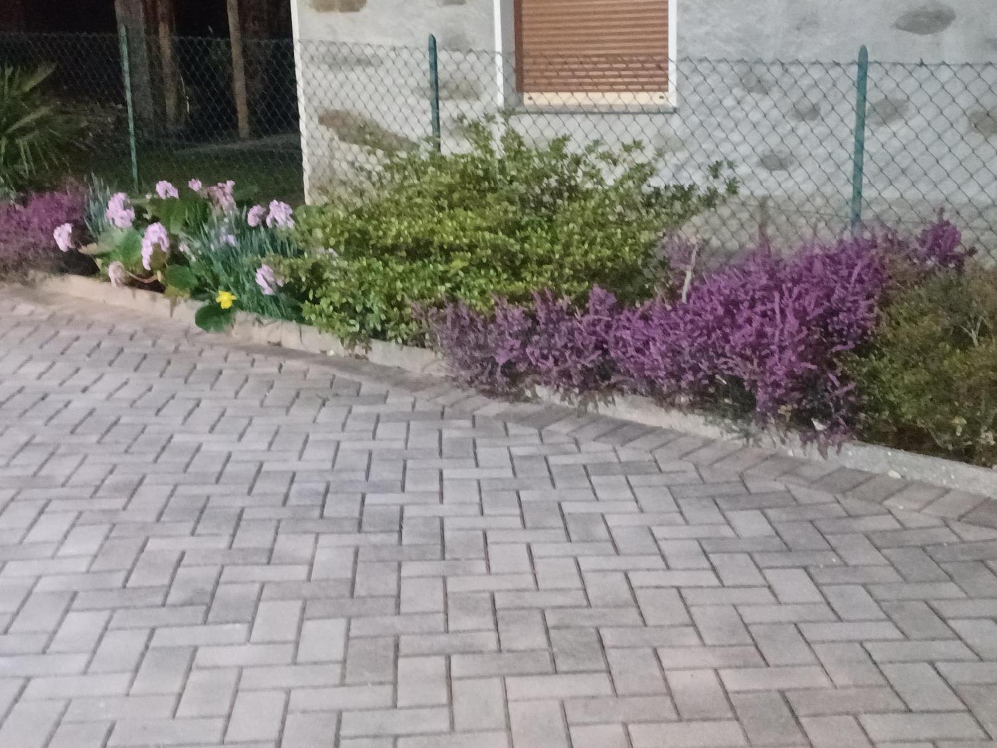 B & B Sentiero Valtellina Castello dell'Acqua Dış mekan fotoğraf